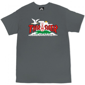 Odjeća Muškarci
 Majice / Polo majice Thrasher T-shirt the city Siva