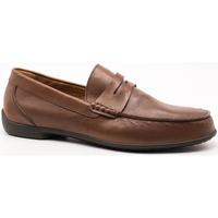 Obuća Muškarci
 Derby cipele & Oksfordice Imac  Smeđa