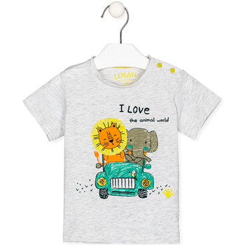 Odjeća Djeca Majice / Polo majice Losan 217-1011AL Siva