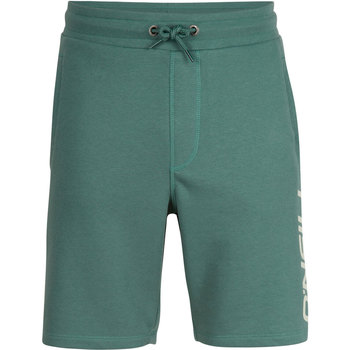 Odjeća Muškarci
 Bermude i kratke hlače O'neill Essentials Zelena
