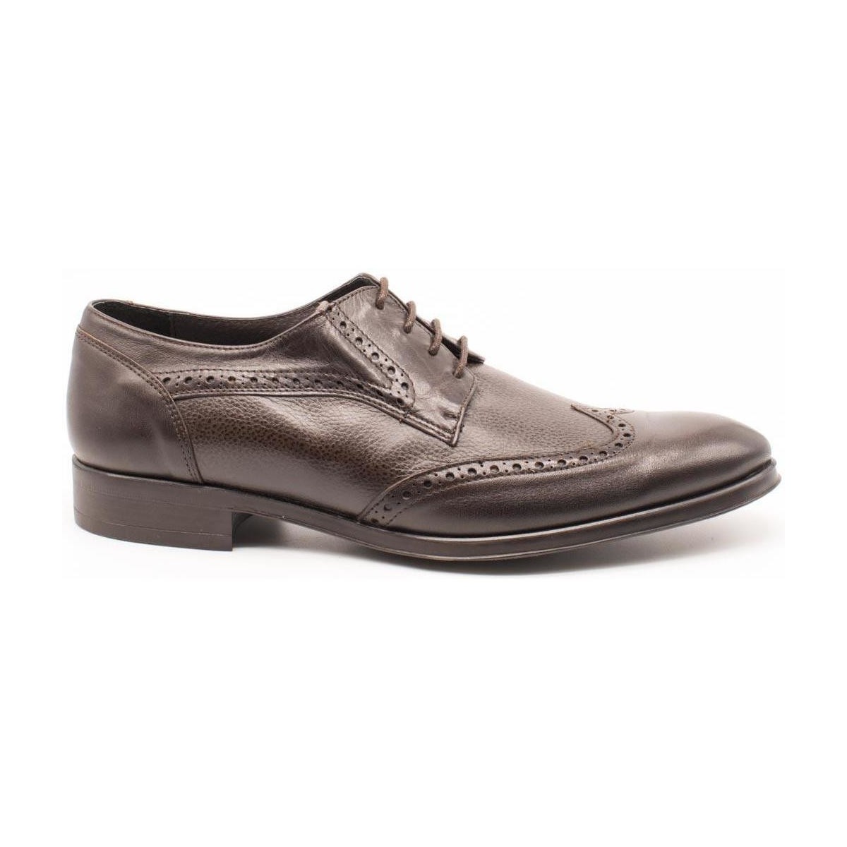 Obuća Muškarci
 Derby cipele & Oksfordice Donatelli  Smeđa