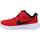 Obuća Dječak
 Niske tenisice Nike REVOLUTION 6 BABY/TODDL Crvena