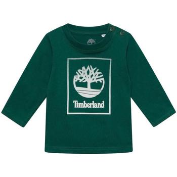 Odjeća Dječak
 Majice kratkih rukava Timberland  Zelena