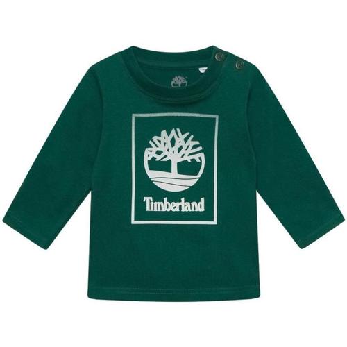 Odjeća Dječak
 Majice kratkih rukava Timberland  Zelena