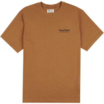 Odjeća Muškarci
 Majice / Polo majice Penfield T-shirt  Arc Mountain Back Graphic Smeđa