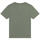 Odjeća Dječak
 Majice kratkih rukava Timberland T25T87 Kaki
