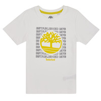 Odjeća Dječak
 Majice kratkih rukava Timberland T25T97 Bijela
