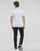 Odjeća Muškarci
 Majice kratkih rukava Calvin Klein Jeans MICRO MONOLOGO TEE Bijela