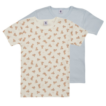 Odjeća Dječak
 Majice kratkih rukava Petit Bateau A074M00 X2 Multicolour