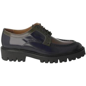 Obuća Žene
 Derby cipele & Oksfordice Calce  Blue