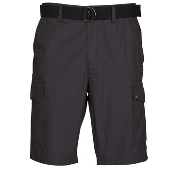 Odjeća Muškarci
 Bermude i kratke hlače Oxbow P10RAGO Siva / Zagasita