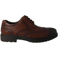 Obuća Muškarci
 Derby cipele & Oksfordice Comfort  Smeđa
