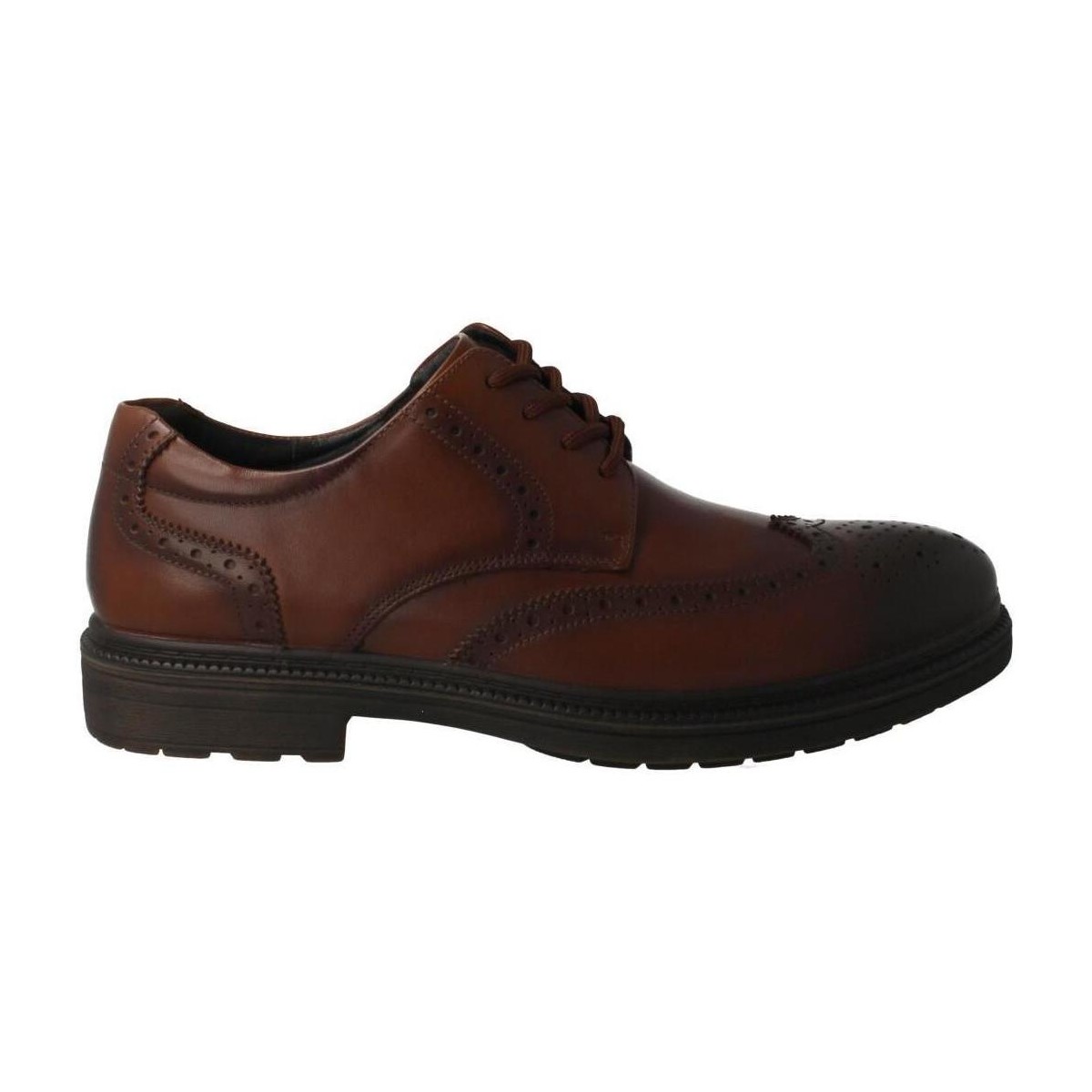 Obuća Muškarci
 Derby cipele & Oksfordice Comfort  Smeđa