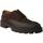 Obuća Muškarci
 Derby cipele & Oksfordice Calce  Smeđa
