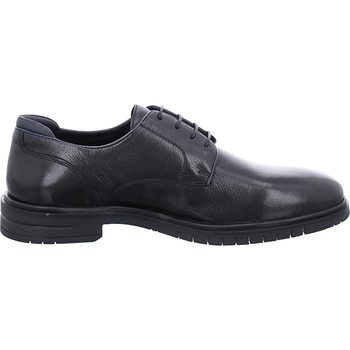 Obuća Muškarci
 Derby cipele & Oksfordice Ara Henry Crna