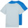 Odjeća Dječak
 Majice kratkih rukava Calvin Klein Jeans PACK MONOGRAM TOP X2 Plava / Plava