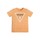 Odjeća Dječak
 Majice kratkih rukava Guess SS TSHIRT CORE Narančasta
