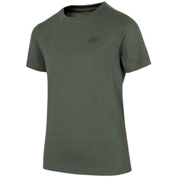 Odjeća Dječak
 Majice kratkih rukava 4F JTSM001 Zelena