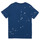 Odjeća Dječak
 Majice kratkih rukava Polo Ralph Lauren GRAPHIC TEE2-KNIT SHIRTS-T-SHIRT Plava