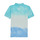 Odjeća Dječak
 Polo majice kratkih rukava Polo Ralph Lauren SS CN M4-KNIT SHIRTS-POLO SHIRT Plava / Tie / Dye