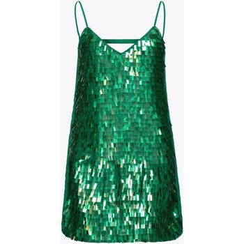 Odjeća Žene
 Duge haljine Pinko 1G17X8-Y36A Zelena