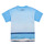 Odjeća Dječak
 Majice kratkih rukava Desigual TS_ALBERT Plava