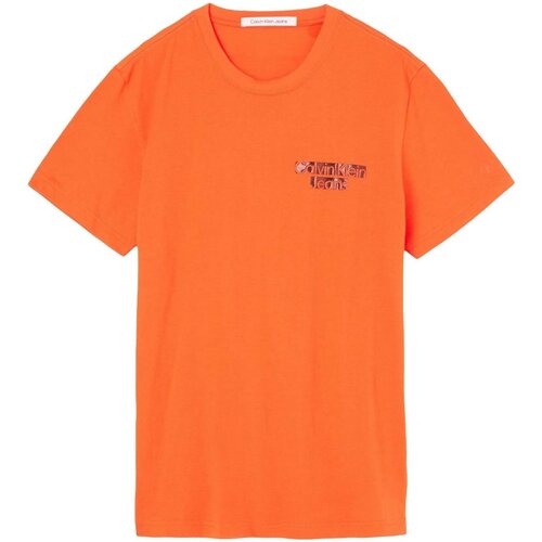 Odjeća Muškarci
 Majice kratkih rukava Calvin Klein Jeans J30J321772 Narančasta