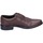 Obuća Muškarci
 Derby cipele & Oksfordice 4.0 BE411 Smeđa