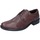 Obuća Muškarci
 Derby cipele & Oksfordice 4.0 BE411 Smeđa