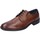 Obuća Muškarci
 Derby cipele & Oksfordice 4.0 BE416 Smeđa