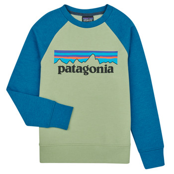 Odjeća Djeca Sportske majice Patagonia K's LW Crew Sweatshirt Višebojna