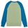 Odjeća Djeca Sportske majice Patagonia K's LW Crew Sweatshirt Višebojna