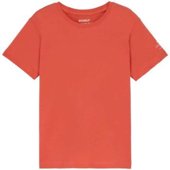 Odjeća Dječak
 Majice kratkih rukava Ecoalf  Narančasta