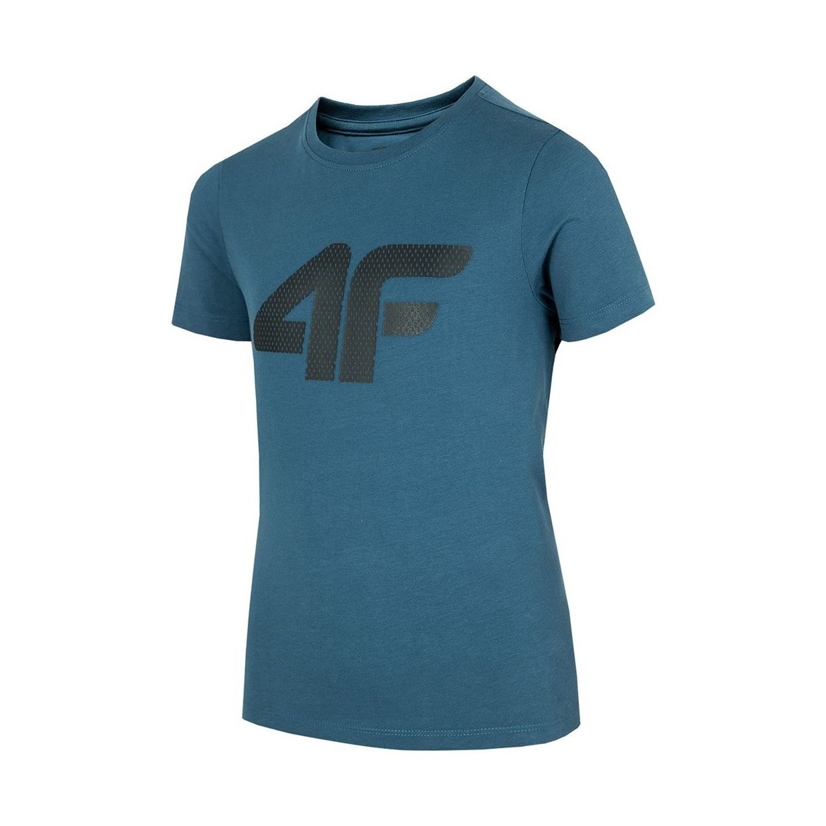 Odjeća Dječak
 Majice kratkih rukava 4F JTSM002 Plava