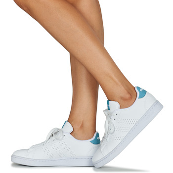 Adidas Sportswear ADVANTAGE Bijela / Plava / Svijetla