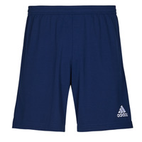 Odjeća Muškarci
 Bermude i kratke hlače adidas Performance ENT22 SHO Team / Plava