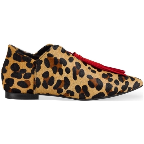 Obuća Žene
 Balerinke i Mary Jane cipele Maray Blossom - Leopard Višebojna