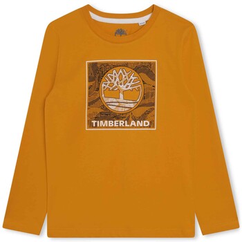 Odjeća Dječak
 Majice kratkih rukava Timberland T25U36-575-C žuta