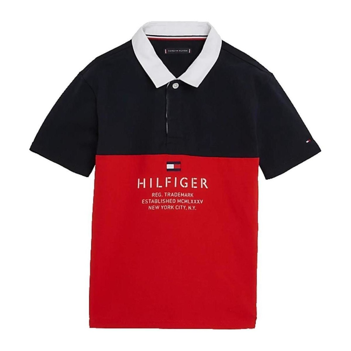 Odjeća Dječak
 Majice kratkih rukava Tommy Hilfiger  Višebojna