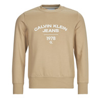 Odjeća Muškarci
 Sportske majice Calvin Klein Jeans VARSITY CURVE CREW NECK Bež