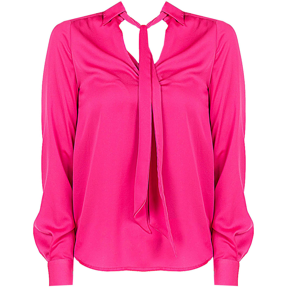 Odjeća Žene
 Topovi i bluze Pinko 1V10LH Y7MJ | Acconsentire Ružičasta