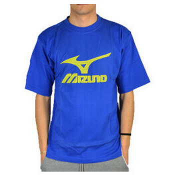 Odjeća Muškarci
 Majice / Polo majice 13 Mizuno t.shirt logo Plava