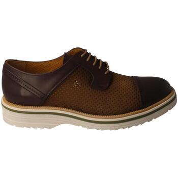 Obuća Muškarci
 Derby cipele & Oksfordice Calce  Smeđa