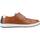 Obuća Muškarci
 Derby cipele & Oksfordice Fluchos F1715 Smeđa