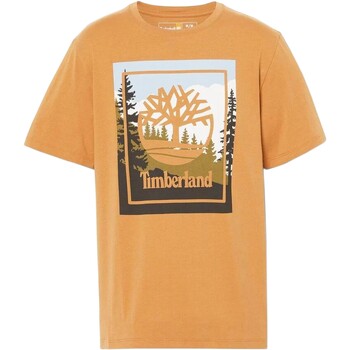 Odjeća Muškarci
 Majice kratkih rukava Timberland 212160 žuta