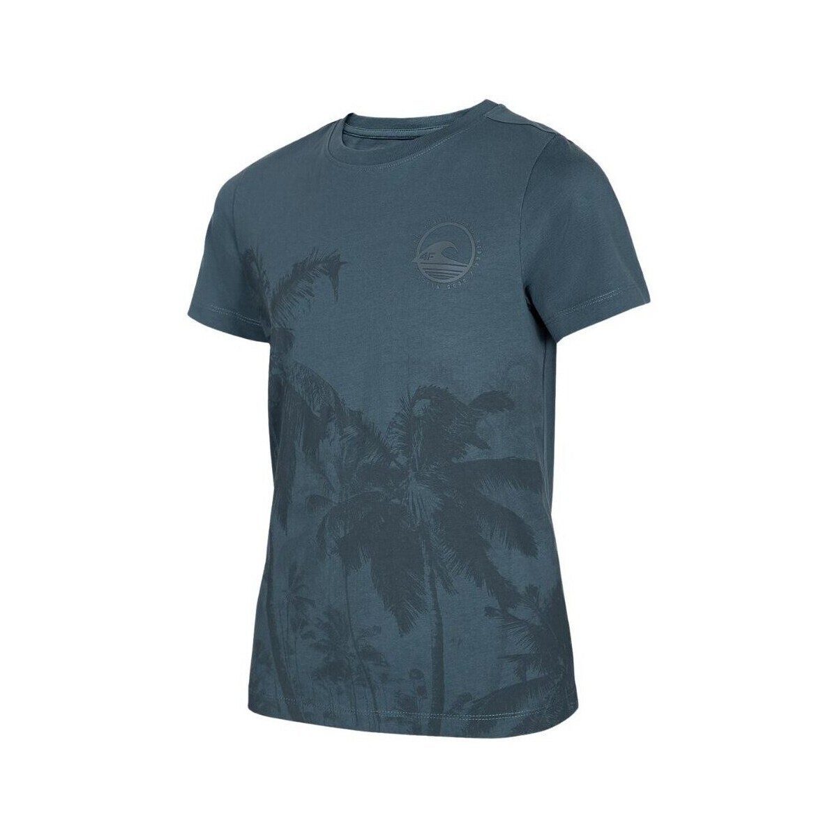 Odjeća Dječak
 Majice kratkih rukava 4F JTSM013 Plava