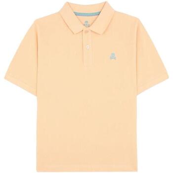 Odjeća Dječak
 Majice kratkih rukava Scalpers  Narančasta