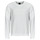 Odjeća Muškarci
 Sportske majice Guess BEAU CN SWEATSHIRT Bijela