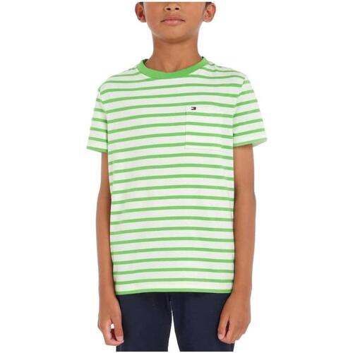 Odjeća Dječak
 Majice kratkih rukava Tommy Hilfiger  Zelena