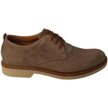 Obuća Muškarci
 Derby cipele & Oksfordice IgI&CO  Siva